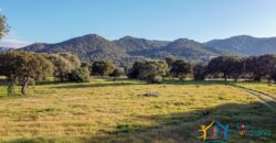 Country Home For Sale Monti Sardinia Ref Su Canale