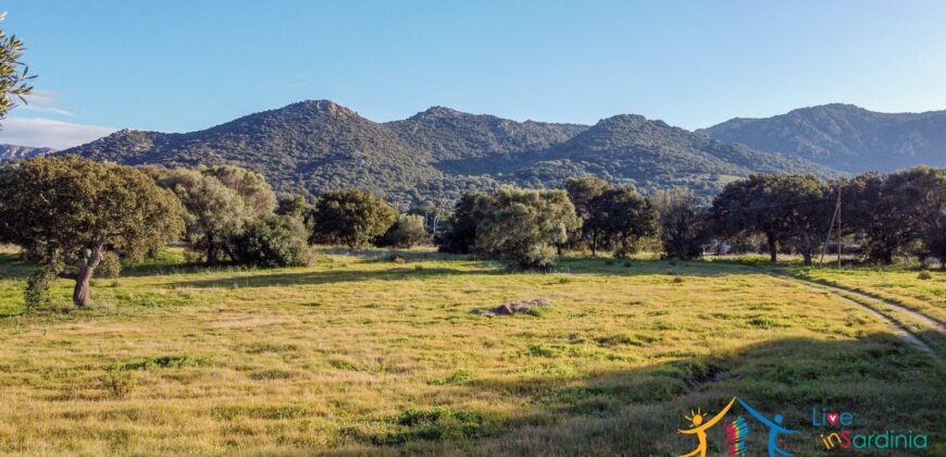 Country Home For Sale Monti Sardinia Ref Su Canale