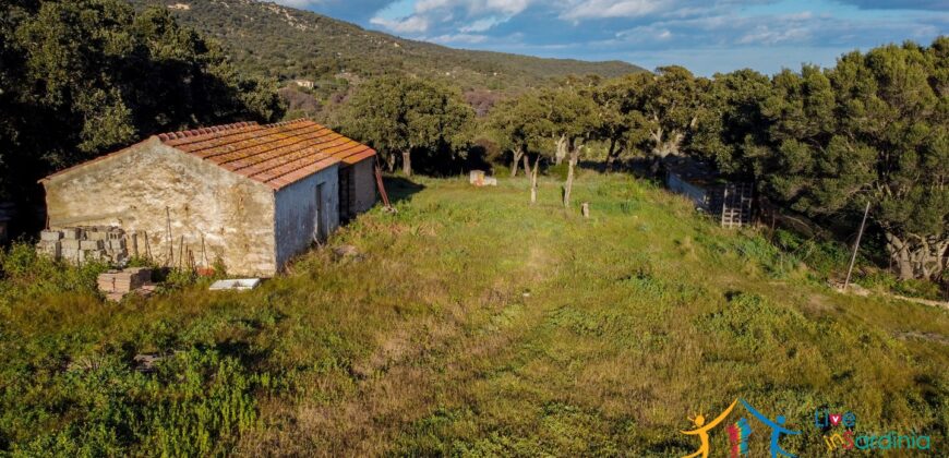 Country Home For Sale Monti Sardinia Ref Su Canale