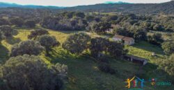 Country Home For Sale Monti Sardinia Ref Su Canale