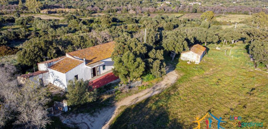 Country Home For Sale Monti Sardinia Ref Su Canale