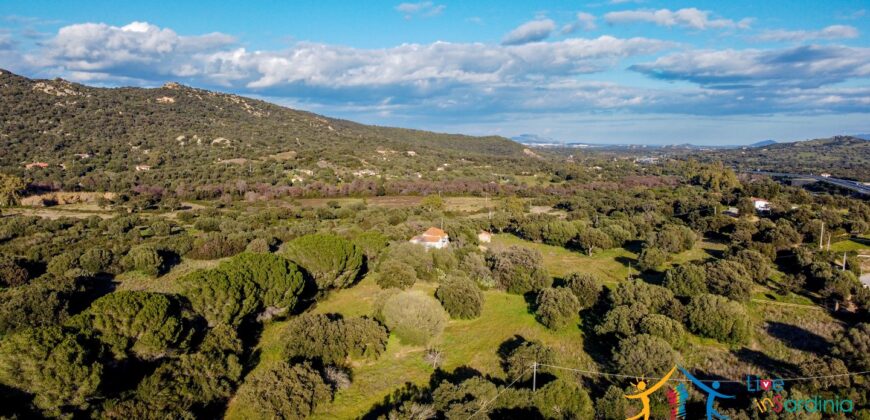 Country Home For Sale Monti Sardinia Ref Su Canale