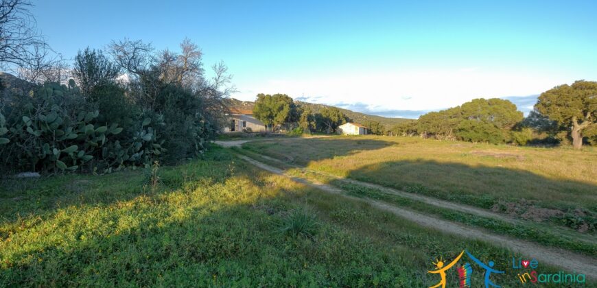 Country Home For Sale Monti Sardinia Ref Su Canale