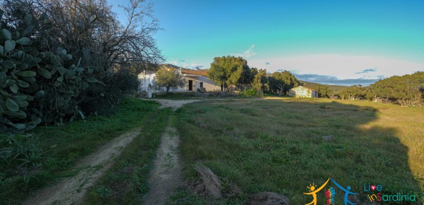 Country Home For Sale Monti Sardinia Ref Su Canale