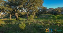 Country Home For Sale Monti Sardinia Ref Su Canale