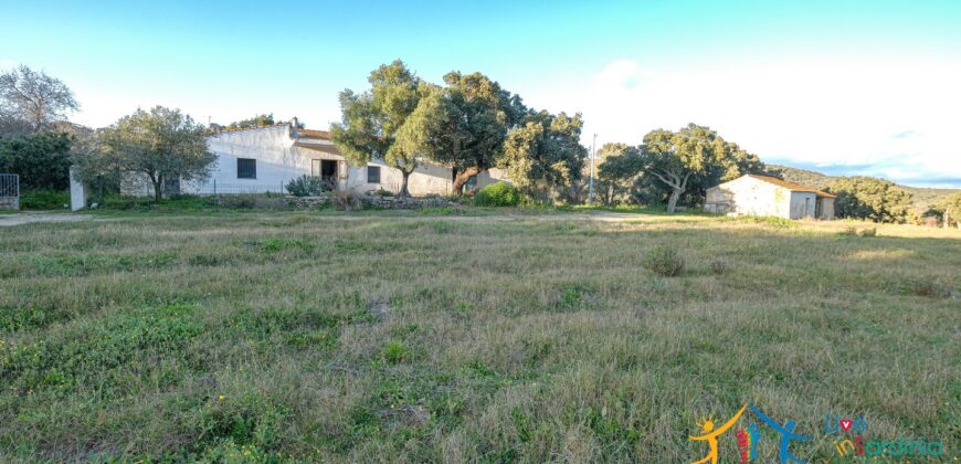 Country Home For Sale Monti Sardinia Ref Su Canale