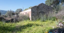 Rustic Home with Olive Grove For Sale Near  Sale In Porto San Paolo