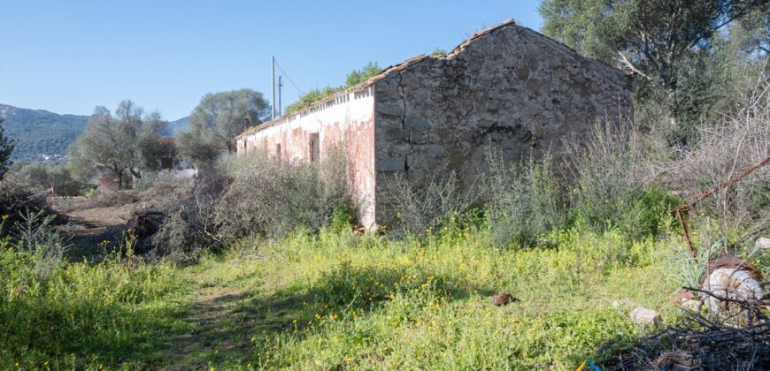 Rustic Home with Olive Grove For Sale Near  Sale In Porto San Paolo