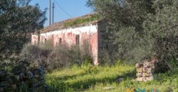 Rustic Home with Olive Grove For Sale Near  Sale In Porto San Paolo