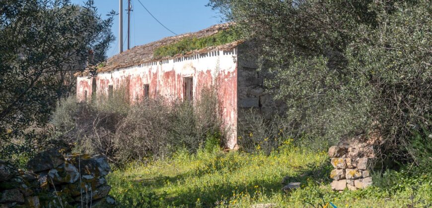 Rustic Home with Olive Grove For Sale Near  Sale In Porto San Paolo