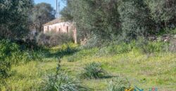 Rustic Home with Olive Grove For Sale Near  Sale In Porto San Paolo