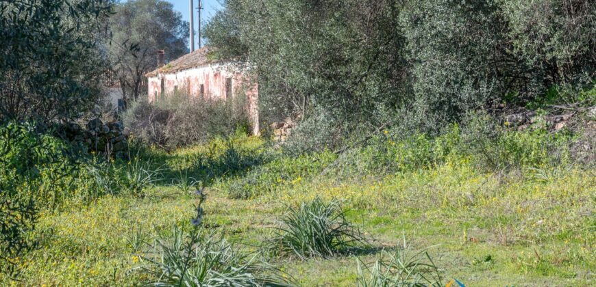 Rustic Home with Olive Grove For Sale Near  Sale In Porto San Paolo