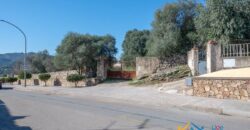 Rustic Home with Olive Grove For Sale Near  Sale In Porto San Paolo