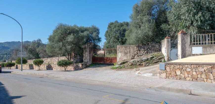 Rustic Home with Olive Grove For Sale Near  Sale In Porto San Paolo