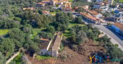 Rustic Home with Olive Grove For Sale Near  Sale In Porto San Paolo