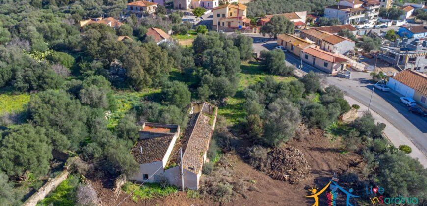 Rustic Home with Olive Grove For Sale Near  Sale In Porto San Paolo