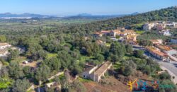 Rustic Home with Olive Grove For Sale Near  Sale In Porto San Paolo