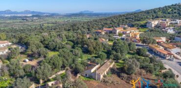 Rustic Home with Olive Grove For Sale Near  Sale In Porto San Paolo