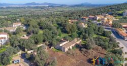 Rustic Home with Olive Grove For Sale Near  Sale In Porto San Paolo