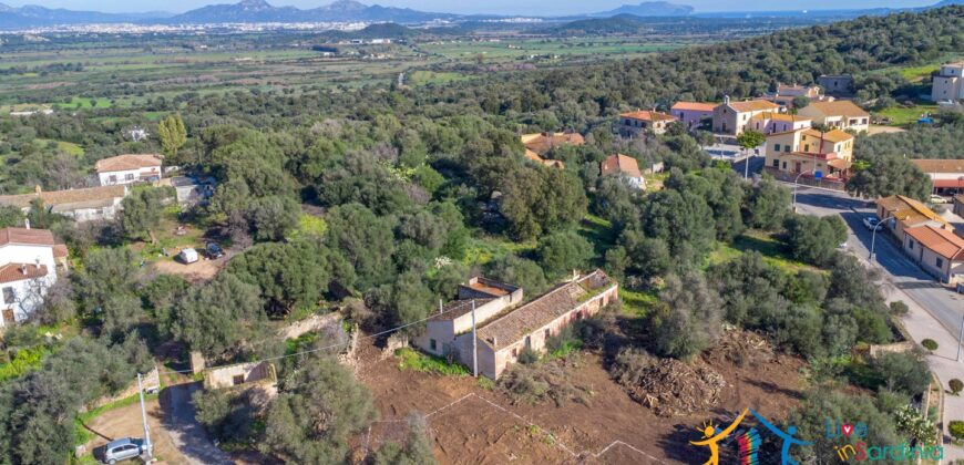 Rustic Home with Olive Grove For Sale Near  Sale In Porto San Paolo