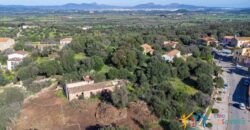 Rustic Home with Olive Grove For Sale Near  Sale In Porto San Paolo