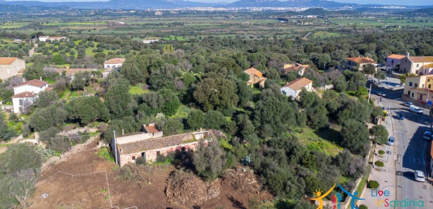 Rustic Home with Olive Grove For Sale Near  Sale In Porto San Paolo