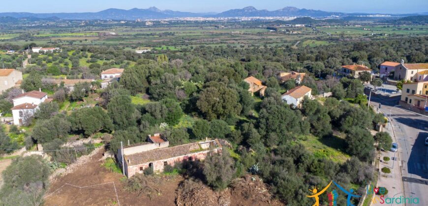 Rustic Home with Olive Grove For Sale Near  Sale In Porto San Paolo