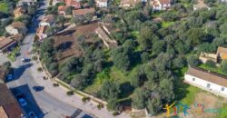 Rustic Home with Olive Grove For Sale Near  Sale In Porto San Paolo