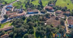 Rustic Home with Olive Grove For Sale Near  Sale In Porto San Paolo