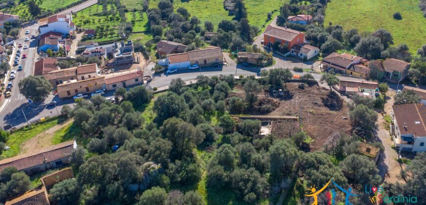 Rustic Home with Olive Grove For Sale Near  Sale In Porto San Paolo