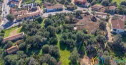 Rustic Home with Olive Grove For Sale Near  Sale In Porto San Paolo