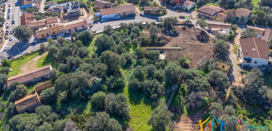 Rustic Home with Olive Grove For Sale Near  Sale In Porto San Paolo