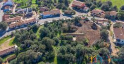 Rustic Home with Olive Grove For Sale Near  Sale In Porto San Paolo