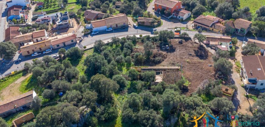 Rustic Home with Olive Grove For Sale Near  Sale In Porto San Paolo