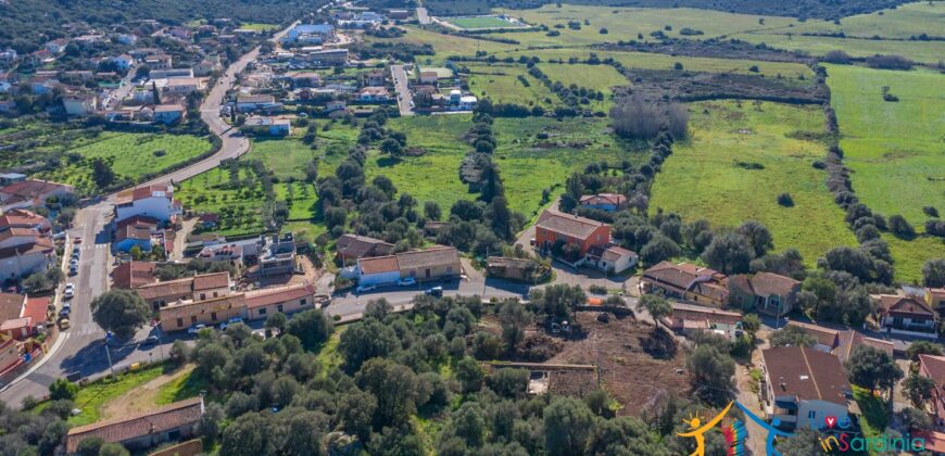 Rustic Home with Olive Grove For Sale Near  Sale In Porto San Paolo