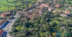 Rustic Home with Olive Grove For Sale Near  Sale In Porto San Paolo