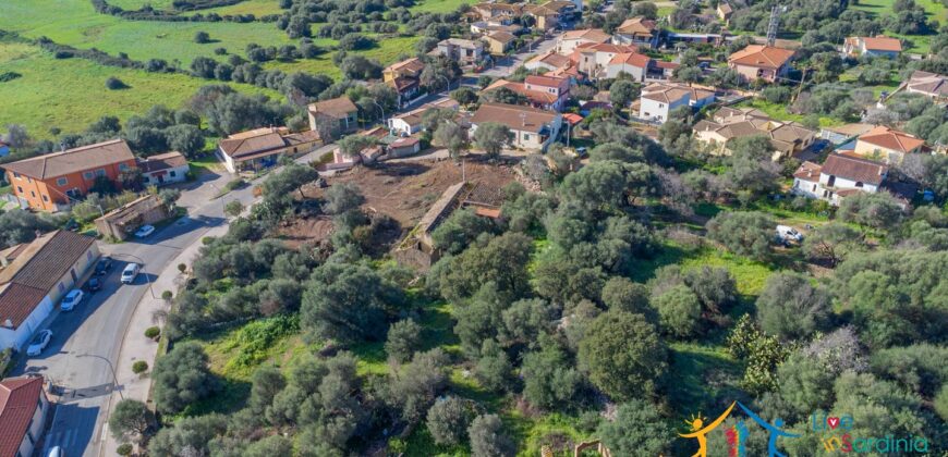 Rustic Home with Olive Grove For Sale Near  Sale In Porto San Paolo