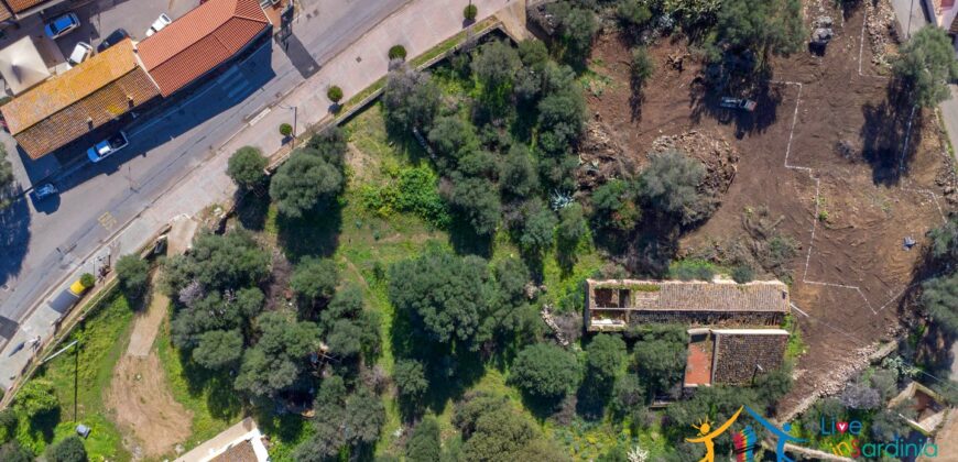 Rustic Home with Olive Grove For Sale Near  Sale In Porto San Paolo