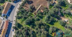 Rustic Home with Olive Grove For Sale Near  Sale In Porto San Paolo