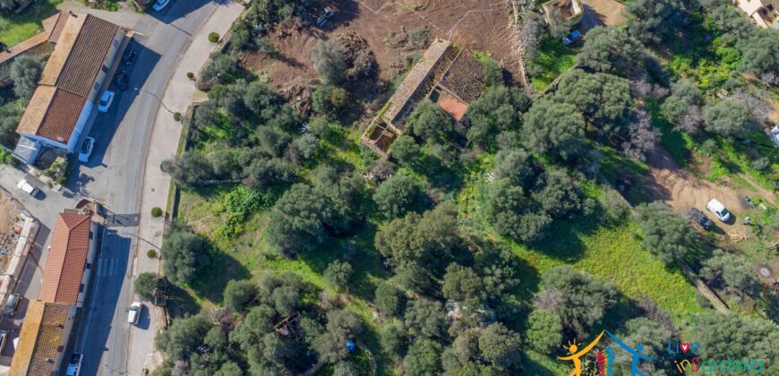 Rustic Home with Olive Grove For Sale Near  Sale In Porto San Paolo