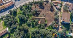 Rustic Home with Olive Grove For Sale Near  Sale In Porto San Paolo