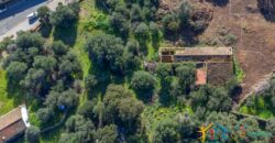 Rustic Home with Olive Grove For Sale Near  Sale In Porto San Paolo