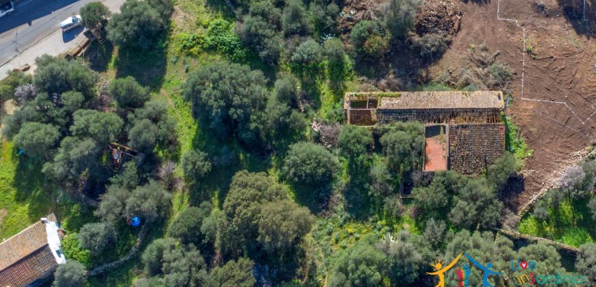 Rustic Home with Olive Grove For Sale Near  Sale In Porto San Paolo