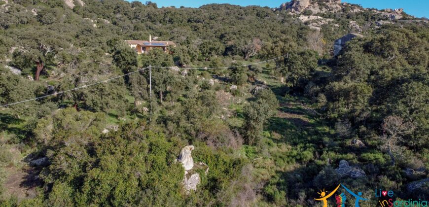 Country House for Sale in Gallura ref.Tracchetta