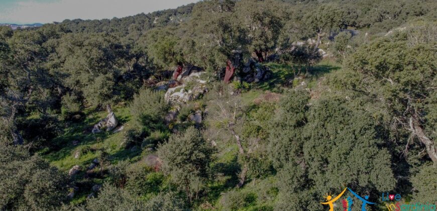 Country House for Sale in Gallura ref.Tracchetta