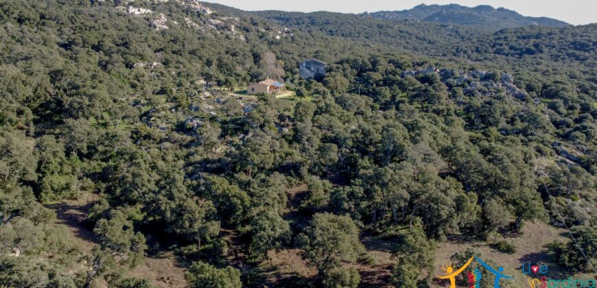 Country House for Sale in Gallura ref.Tracchetta