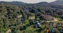 Country House for Sale in Gallura ref.Tracchetta