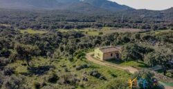 Country House for Sale in Gallura ref.Tracchetta