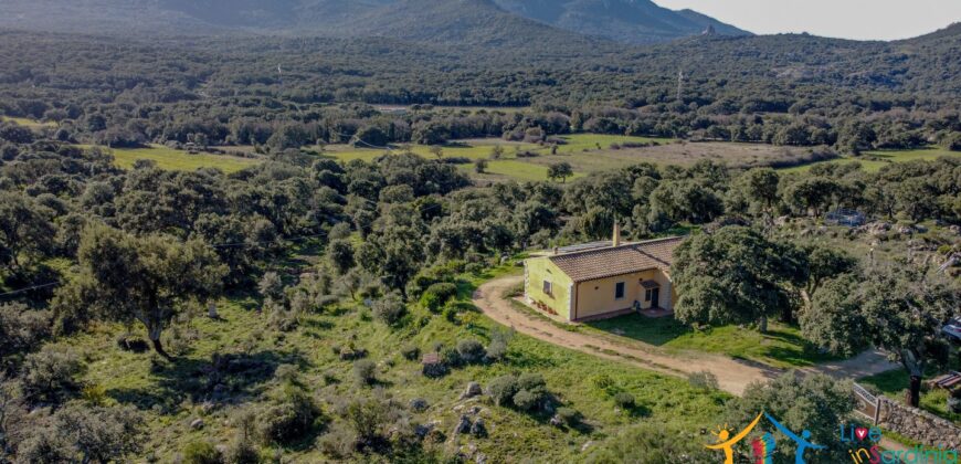 Country House for Sale in Gallura ref.Tracchetta