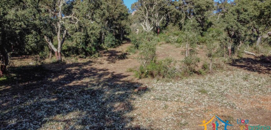 Country House for Sale in Gallura ref.Tracchetta